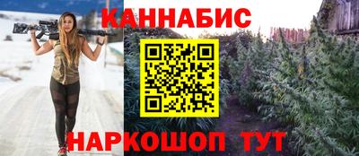 прущие крисы Новодвинск